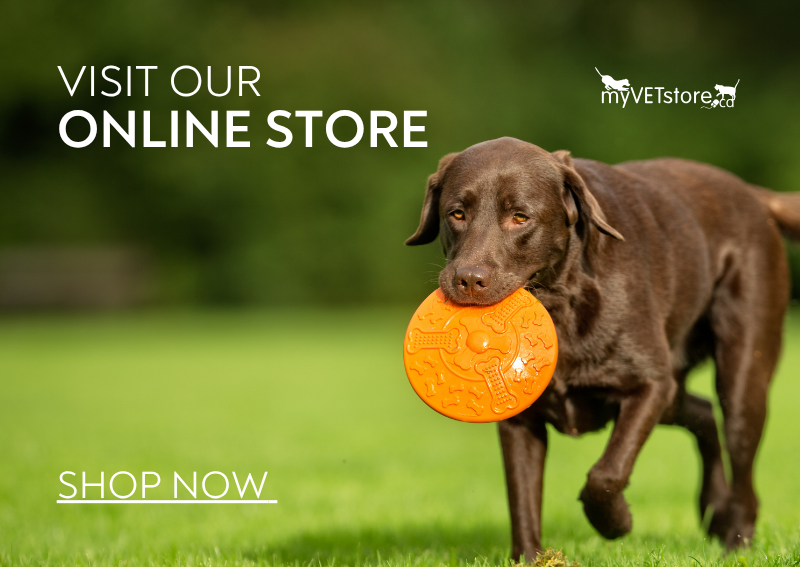 Carousel Slide 1: Shop Our Online Store!